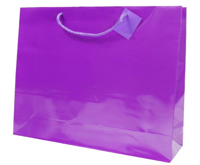 large glossy gift bags